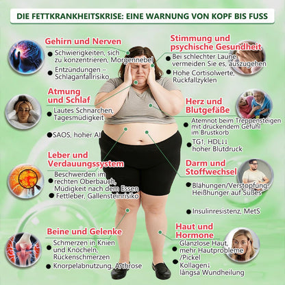 🇩🇪 Offizieller deutscher Shop | Geelemon® Moringa · Berberin × NAD+ 𝟏𝟎-𝐢𝐧-𝟏 𝐀𝐝𝐯𝐚𝐧𝐜𝐞𝐝 𝐍𝐚𝐧𝐨-𝐌𝐢𝐤𝐫𝐨𝐧𝐚𝐝𝐞𝐥-𝐏𝐚𝐭𝐜𝐡 — 𝐄𝐢𝐧𝐦𝐚𝐥 𝐭ä𝐠𝐥𝐢𝐜𝐡, 𝐬𝐢𝐜𝐡𝐭𝐛𝐚𝐫𝐞 𝐄𝐫𝐠𝐞𝐛𝐧𝐢𝐬𝐬𝐞 𝐢𝐧 𝟕 𝐓𝐚𝐠𝐞𝐧